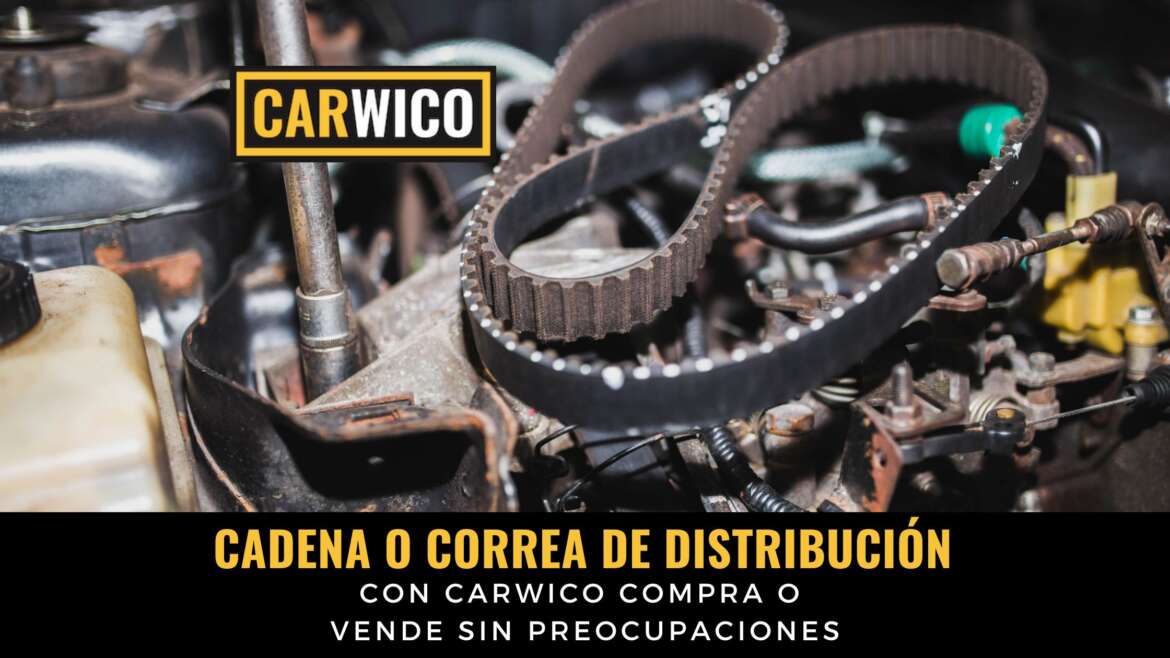 Coche con Cadena o Correa de Distribución: ¿Cuál es Mejor?